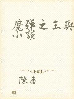 魔弹之王与战姬小说