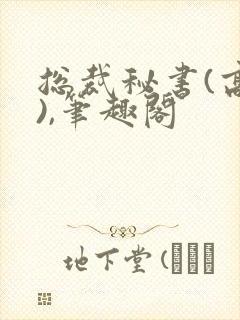 总裁秘书(高干),笔趣阁