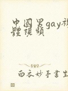 中国男gay裸体视频