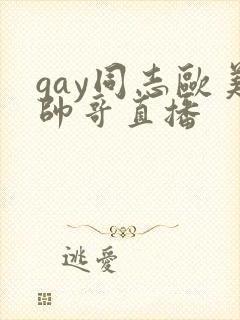 gay同志欧美帅哥直播