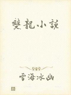 双龙小说
