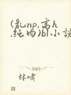 (乱np,高h,纯肉)bl小说