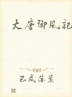 大唐御风记封面