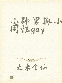 小帅男与小鲜肉同性gay