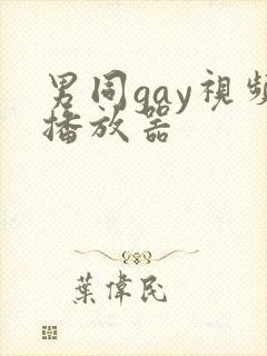 男同gay视频播放器