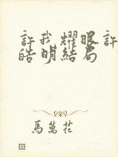 许我耀眼许妍沈皓明结局封面