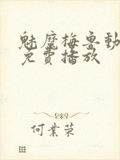 魅魔梅鲁动漫版免费播放封面