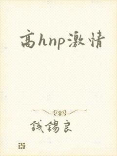 高hnp激情