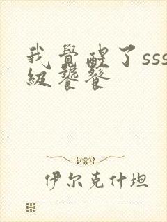 我觉醒了sss级饕餮封面