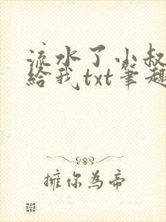 流水了小叔给我给我txt笔趣阁封面