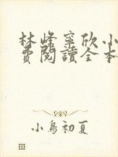林峰宁欣小说免费阅读全本下载封面