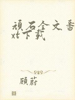 顽石全文番外txt下载