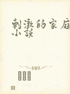 刺激的家庭乱仑小说