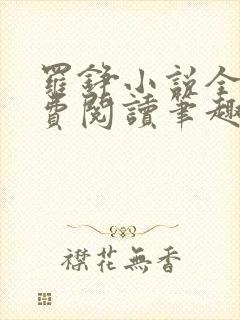 罗铮小说全文免费阅读笔趣阁封面