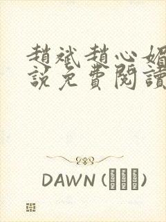 赵斌赵心媚的小说免费阅读封面