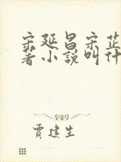 宋延昌宋芷欣原著小说叫什么封面