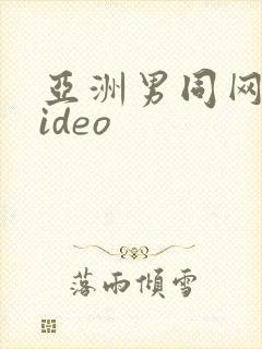 亚洲男同网站video