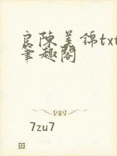 良陈美锦txt笔趣阁