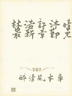 林浩许沐晴小说最新章节免费阅读全文