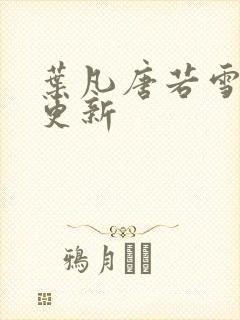 叶凡唐若雪王婿更新