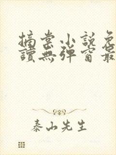 摘棠小说免费阅读无弹窗最新章节封面