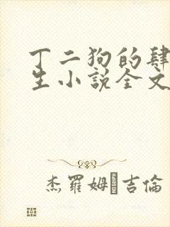 丁二狗的肆意人生小说全文听封面