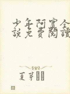 少年阿宾全文小说免费阅读笔趣阁