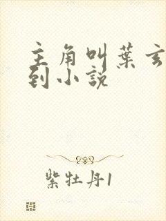 主角叫叶玄的签到小说