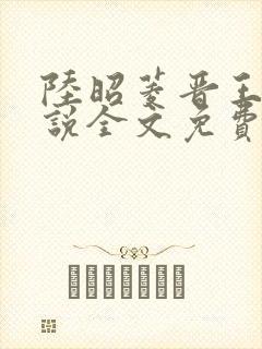 陆昭菱晋王的小说全文免费阅读