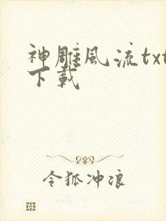 神雕风流txt下载