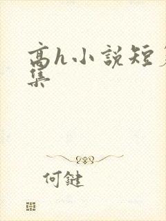 高h小说短篇合集