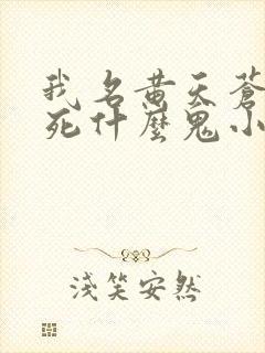 我名黄天苍天已死什么鬼小说笔趣阁无删减