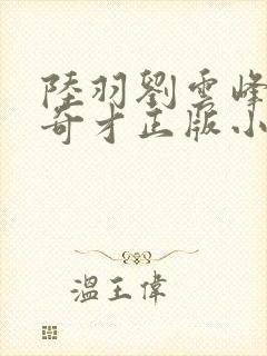 陆羽刘云峰鸿途奇才正版小说封面