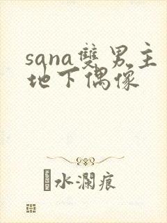 sana双男主地下偶像