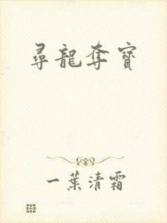 寻龙夺宝封面