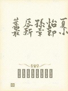 叶辰孙怡夏若雪最新章节小说心