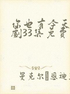 你也有今天电视剧33集免费观看