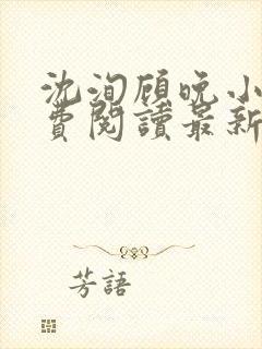 沈洵顾晚小说免费阅读最新章节