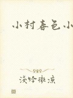 小村春色小说