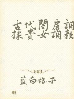 古代闺房调教h揉贵女调教记