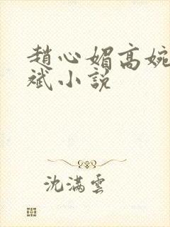 赵心媚高婉君陈斌小说