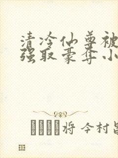 清冷仙尊被魔尊强取豪夺小说