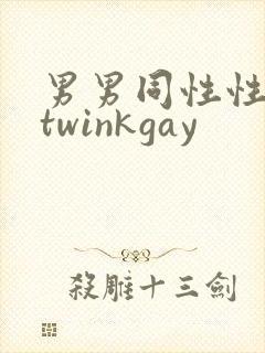 男男同性性行为twinkgay