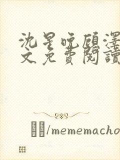 沈星晚顾泽轩全文免费阅读笔趣阁封面