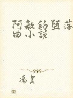 阿敏的堕落三部曲小说