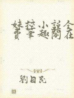 妹控小说全文免费笔趣阁在线阅读