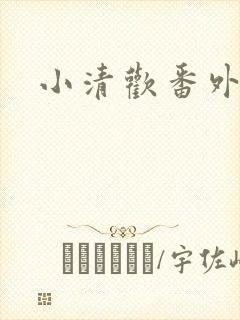 小清欢番外封面