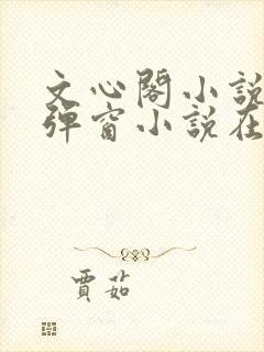 文心阁小说_无弹窗小说在线免费阅读封面