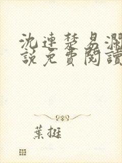 沈连楚易澜的小说免费阅读封面