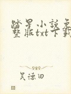 踏星小说免费完整版txt下载